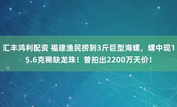 汇丰鸿利配资 福建渔民捞到3斤巨型海螺，螺中现15.6克稀缺龙珠！曾拍出2200万天价！