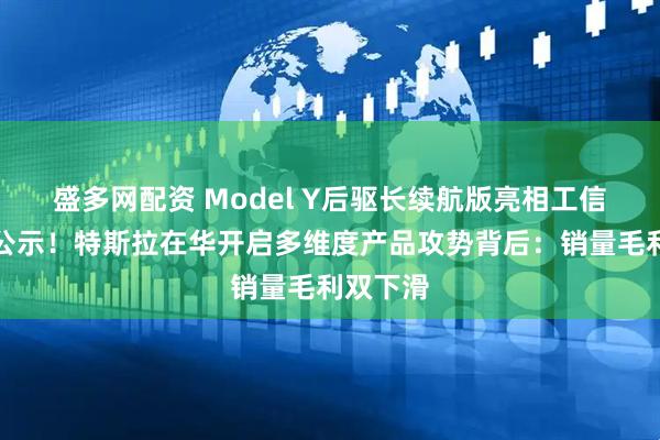 盛多网配资 Model Y后驱长续航版亮相工信部新车公示！特斯拉在华开启多维度产品攻势背后：销量毛利双下滑